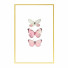 Photos Wall Frame 437 - farnaz3dsky