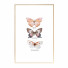 Photos Wall Frame 437 - farnaz3dsky