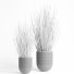 Flowerpots Indoor Plant 008 Candellila - Mrym.3dmodel