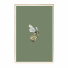 Pictures Wall Frame 488 - farnaz3dsky
