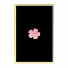 Pictures Wall Frame 490 - farnaz3dsky