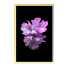 Bilder Wall Frame 499 - farnaz3dsky