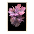 Bilder Wall Frame 499 - farnaz3dsky