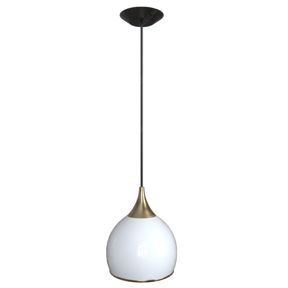 Pendant Lamp Model 17 3D model