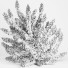 Busch Pflanze im Freien set 001 bougainvillea - Mrym.3dmodel