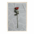 Pictures Wall Frame 403 - farnaz3dsky