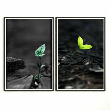 Pictures  Wall Frame 415 3D model