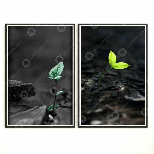 Pictures Wall Frame 415 3D model