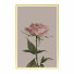 Pictures Wall Frame 424 - farnaz3dsky