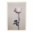 Pictures Wall Frame 424 - farnaz3dsky