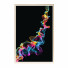 Bilder Wall Frame 455 - farnaz3dsky
