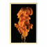 Pictures Wall Frame 464 - farnaz3dsky