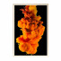 Pictures Wall Frame 464 - farnaz3dsky