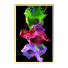 Pictures Wall Frame 470 - farnaz3dsky
