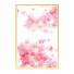 Pictures Wall Frame 471 - farnaz3dsky