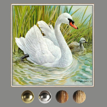 Pinturas  Decoration 20 Modelo 3D