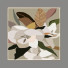 Bilder Decoration 6 - lat047622