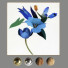 Kino Decoration 7 - lat047622