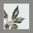Kino Decoration 8 - lat047622