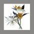 Photos Decoration 10 - lat047622