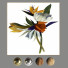 Photos Decoration 10 - lat047622