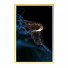 Bilder Wall Frame 452 - farnaz3dsky