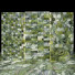 Tile Brilliant Green Marble 01 - MRK.Studio