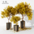 Pots de fleurs Plantes d'intérieur 186 - uniquevry