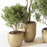 Macetas Plantas de interior 187 - uniquevry