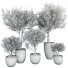Macetas Plantas de interior 187 - uniquevry