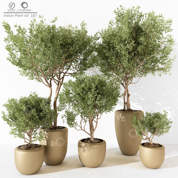 Macetas Plantas de interior 187 Modelo 3D