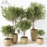 Macetas Plantas de interior 187 - uniquevry