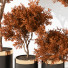 Macetas Plantas de interior 188 - uniquevry