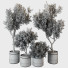 Macetas Plantas de interior 188 - uniquevry