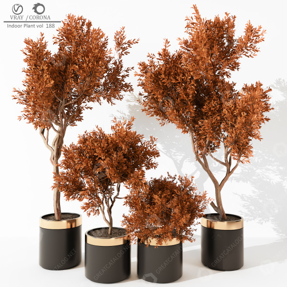 Macetas Plantas de interior 188 Modelo 3D