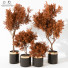 Macetas Plantas de interior 188 - uniquevry