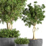Pots de fleurs Plante en extérieur ensemble 01 - nasrinrad