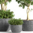 Pots de fleurs Plante en extérieur ensemble 01 - nasrinrad