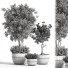 Pots de fleurs Plante en extérieur ensemble 01 - nasrinrad