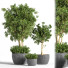 Pots de fleurs Plante en extérieur ensemble 01 - nasrinrad