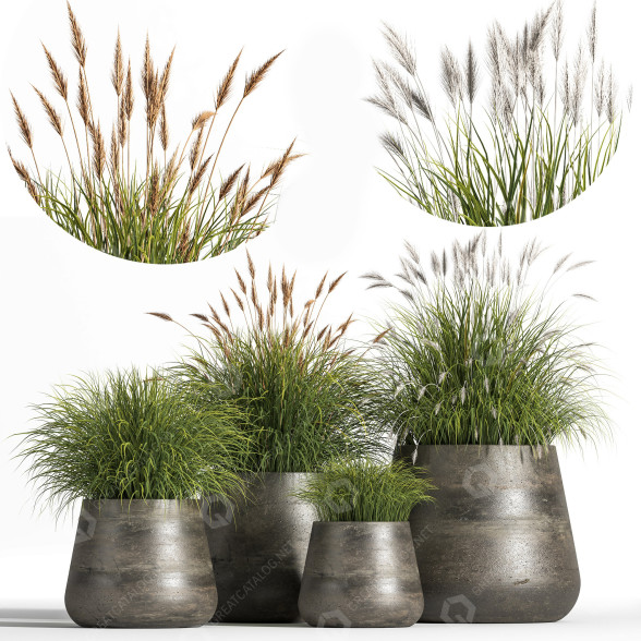 Pots de fleurs Ensemble de plantes d'intérieur 03 modèle 3D
