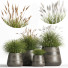 Pots de fleurs Ensemble de plantes d'intérieur 03 - nasrinrad