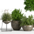Blumentöpfe Indoor Set Plant 04 - nasrinrad