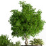 Blumentöpfe Indoor Set Plant 04 - nasrinrad