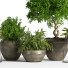 Blumentöpfe Indoor Set Plant 04 - nasrinrad