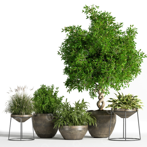 Blumentöpfe Indoor Set Plant 04 3D-Modell