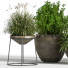 Blumentöpfe Indoor Set Plant 04 - nasrinrad