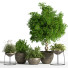 Blumentöpfe Indoor Set Plant 04 - nasrinrad