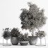 Blumentöpfe Indoor Set Plant 04 - nasrinrad