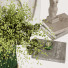 Decoración Set 002 - bahartanhaee
